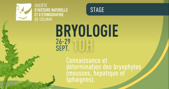 BRYOLOGIE : INITIATION ET PERFECTIONNEMENT