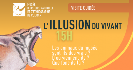L'illusion du vivant