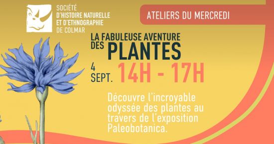 La fabuleuse aventure des plantes