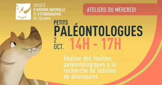 Petits paléontologues (spécial dinos)