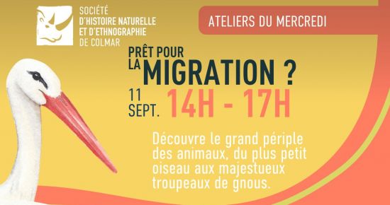 Prêt pour la migration ?