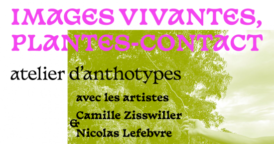 Images vivantes, plantes-contact