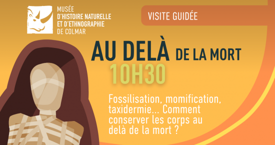 Au delà de la mort