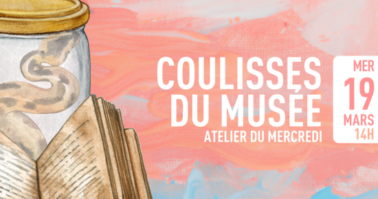 Les coulisses du musée