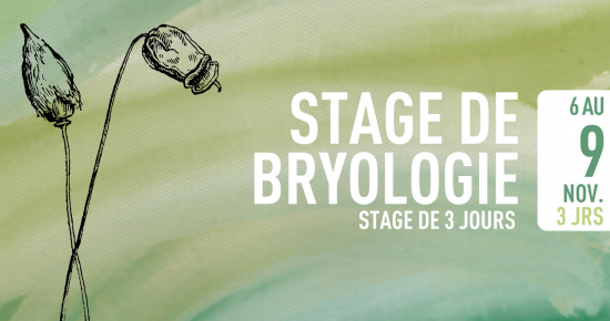 BRYOLOGIE : INITIATION ET PERFECTIONNEMENT