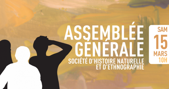 Assemblée générale