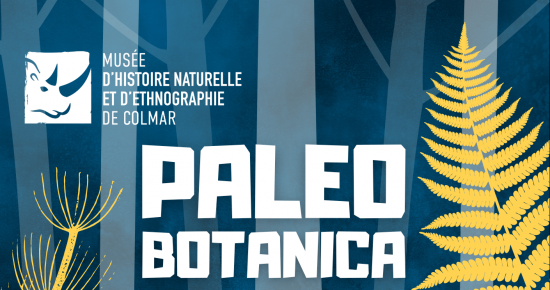 PALEOBOTANICA - AUX RACINES DU VIVANT