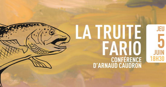 La Truite fario