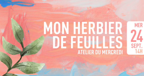 Mon herbier de feuilles