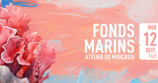 Fonds marins