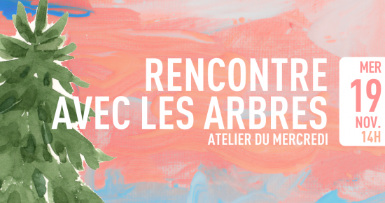 Rencontre avec les arbres