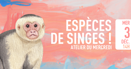 Espèces de singes