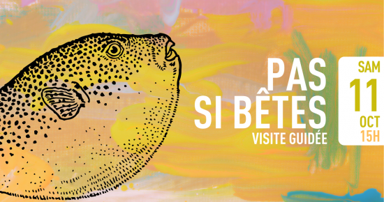 Pas si bêtes