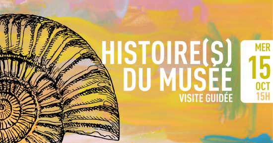 Histoire(s) du musée