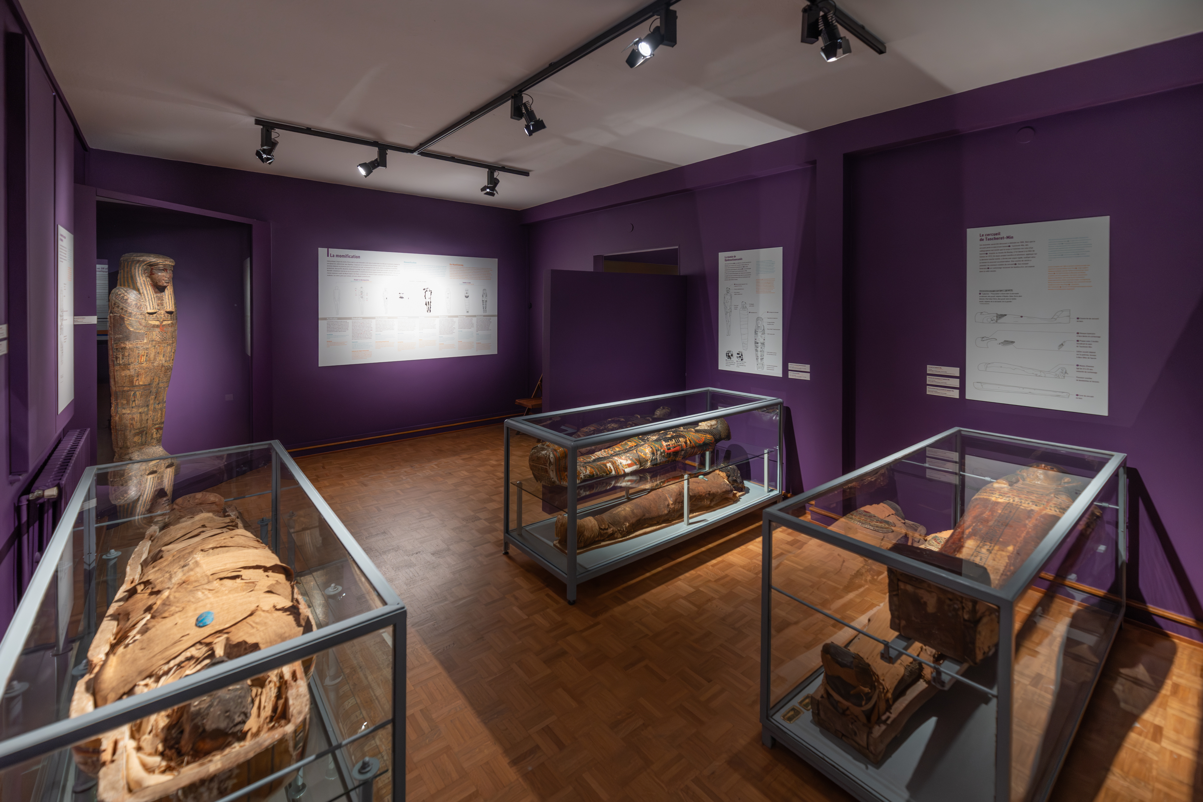 Salle d'Égyptologie ©Jérôme Birling