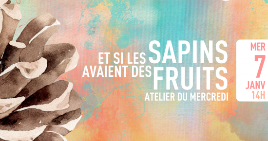 Et si les sapins avaient des fruits ?