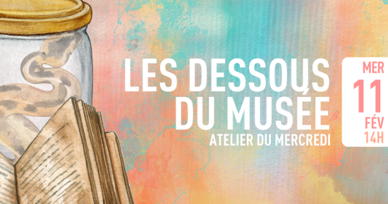 Les dessous du musée