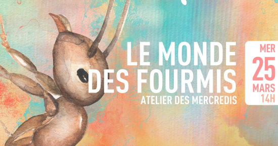 Le monde des fourmis