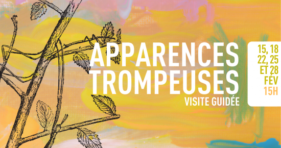 Apparences trompeuses
