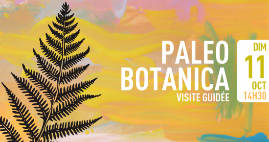 Paleobotanica