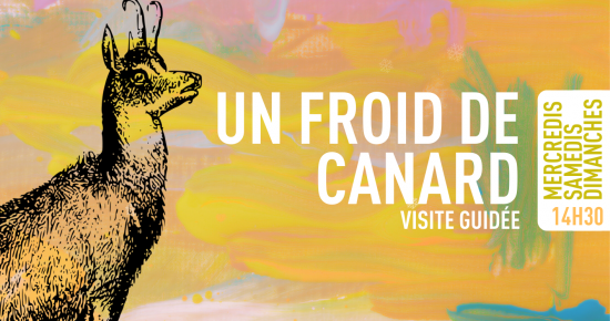 Un froid de canard