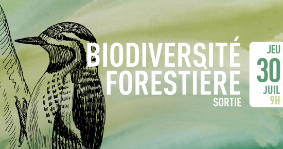 Biodiversité forestière