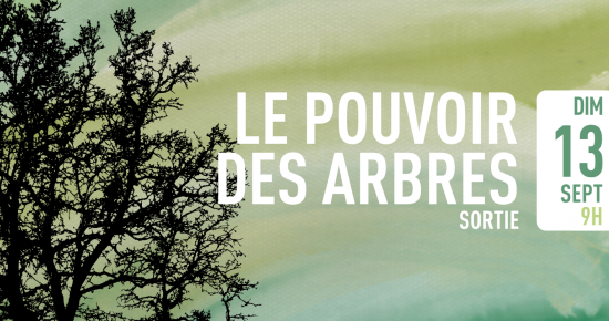 Le pouvoir des arbres