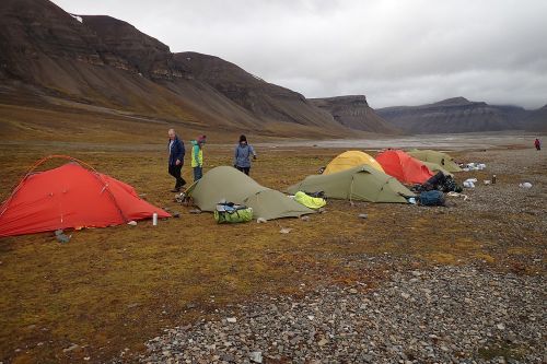 Les expéditions naturalistes de la SHNEC au Svalbard avec Bernard Stoehr