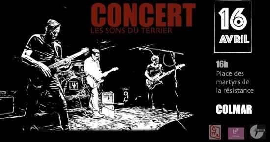 Concert gratuit : Les SONS DU TERRIER (post rock)