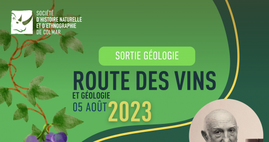 Route des vins et géologie, sans modération !