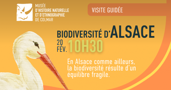 Biodiversité d'Alsace