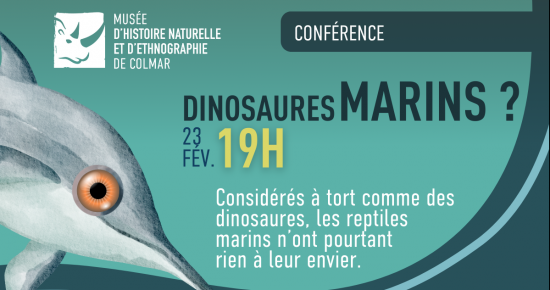 Dinosaures marins ?