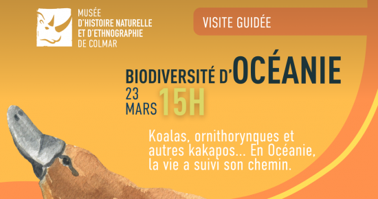 Biodiversité d'Océanie
