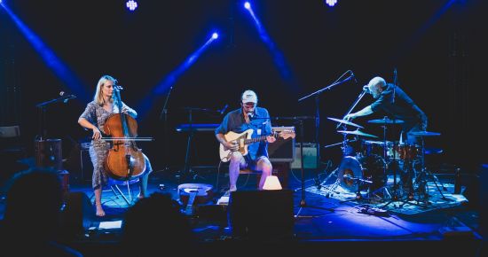 Concert gratuit : THE WOODEN WOLF ( folk )