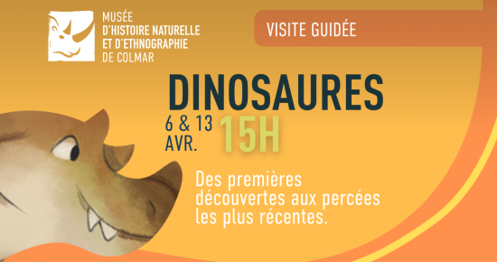 Dinosaures