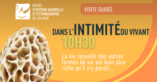 Dans l'intimité du vivant